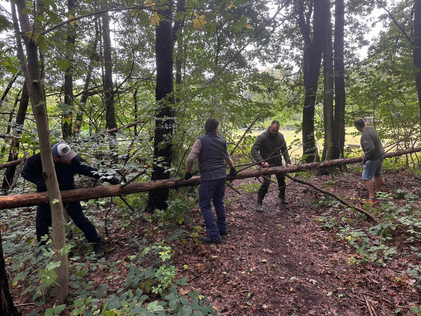 Arbeitseinsatz zum Erhalt des Vereinsgeländes
